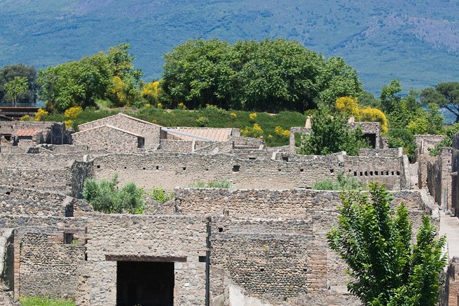 Pompeii Ruins Half-Day Tour from Sorrento with Guide - Thermal Baths and everyday Roman life