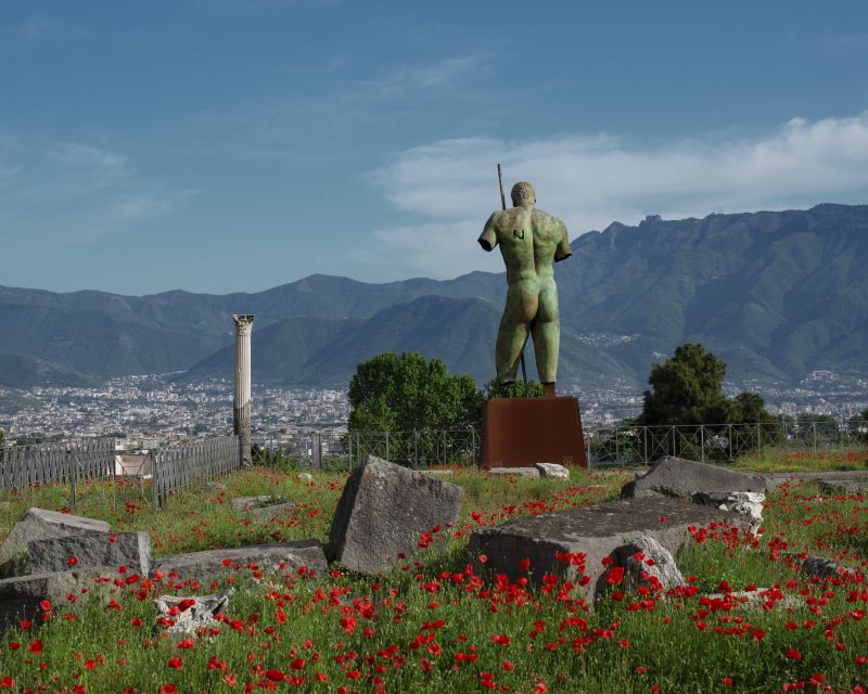 Pompeii: Skip-the-Line Entry Ticket with Digital Guide App - Getting your ticket and preparing the app