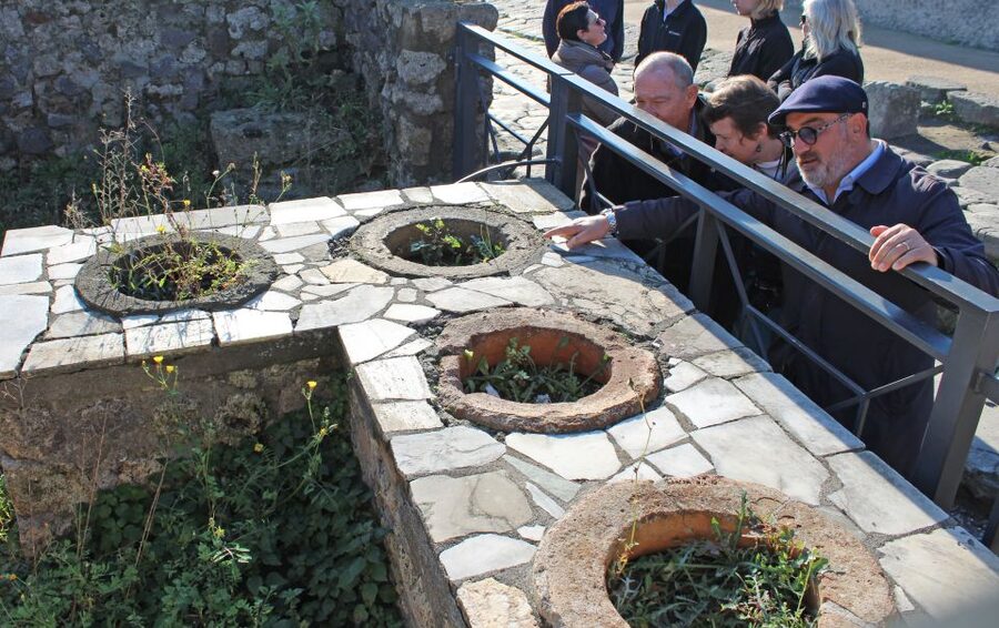 Pompeii: Skip-the-Line Tickets and Tour with Archaeologist - Is $105 a fair price for two hours?