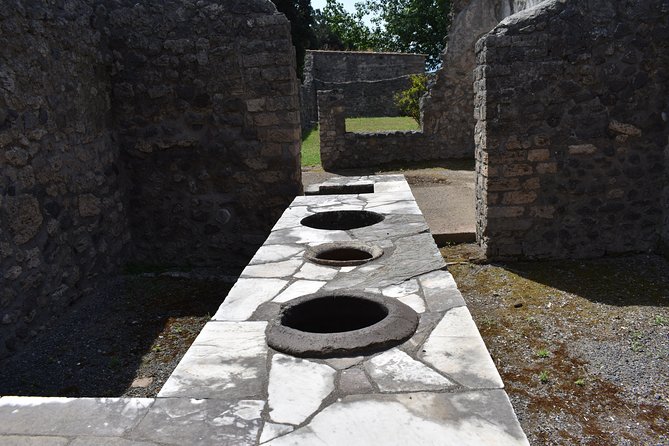 Pompeii Skip-the-line Tour with Archaeologist Guide - What makes the guide quality matter