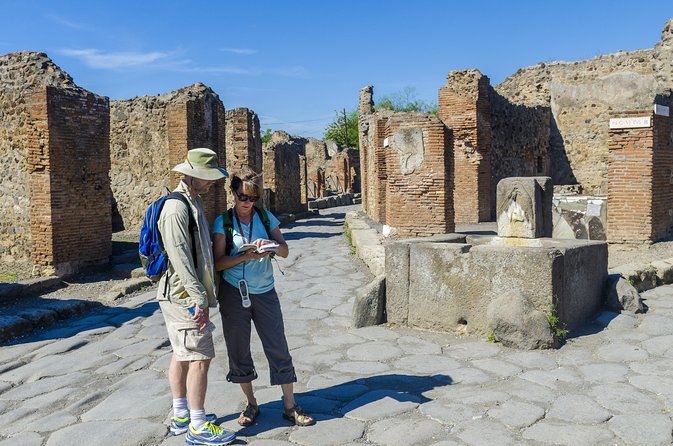 Pompeii: Small Group Tour with an Archaeologist - Baths, Bakeries, and the Lupanar