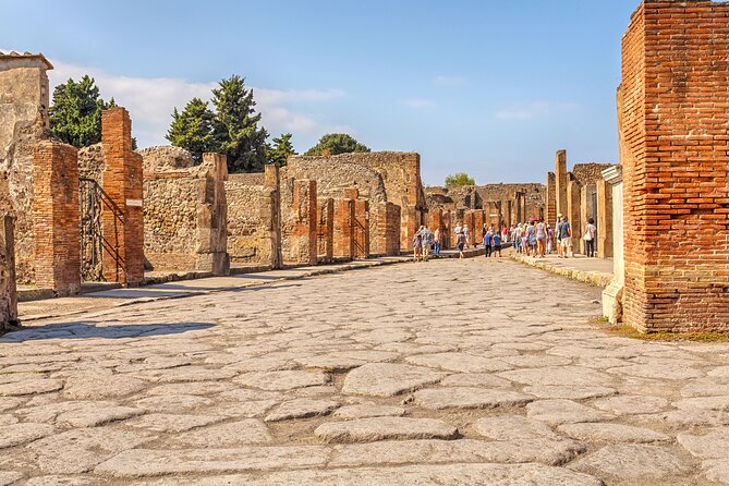 Pompeii Ticket + Tour with Optional Tasting Experience at Pompeii - Pompeii’s forum, villas, and daily life