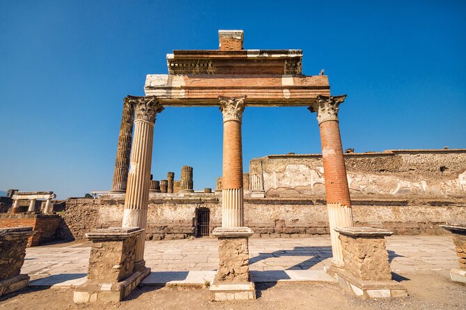 Pompeii Ticket + Tour with Optional Tasting Experience at Pompeii - The standard ticket and what it leaves out