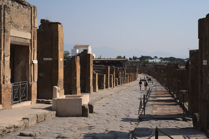 Pompeii Tour & Lunch with Wine Tasting Experience - Where the day can wobble