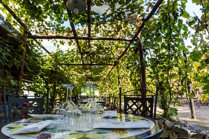 Pompeii Vineyard Escape: Private Wine Tasting & Lunch - Why the private format matters