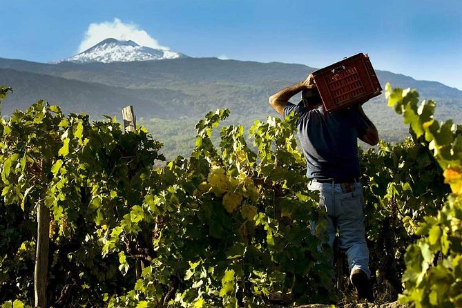 Private 6-Hour Tour of Three Etna Wineries with food&wine tasting - Second stop: homemade pasta and a family table