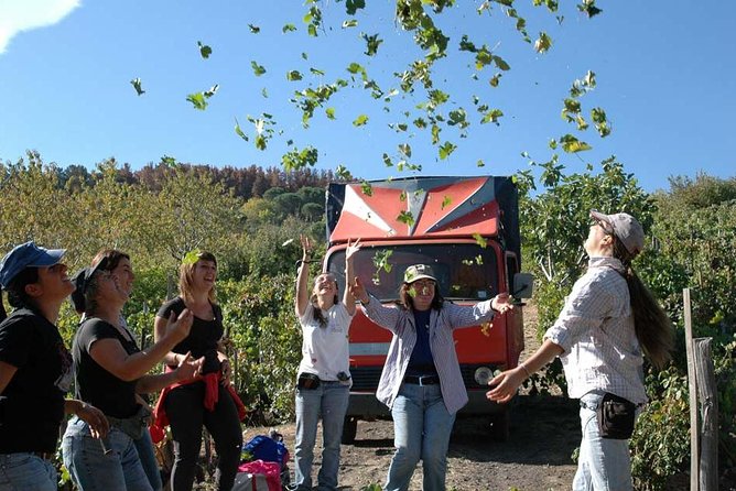 Private 6-Hour Tour of Three Etna Wineries with food&wine tasting - Third stop: rustic charm near Mount Etna