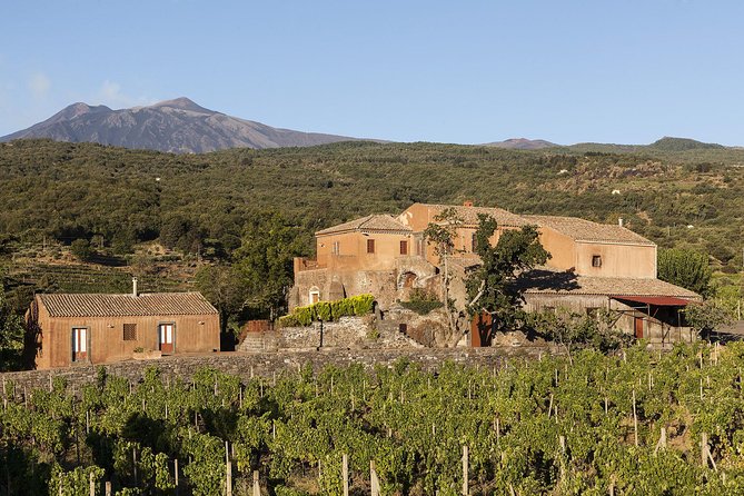 Private 6-Hour Tour of Three Etna Wineries with food&wine tasting - The $375.05 price: is it fair?