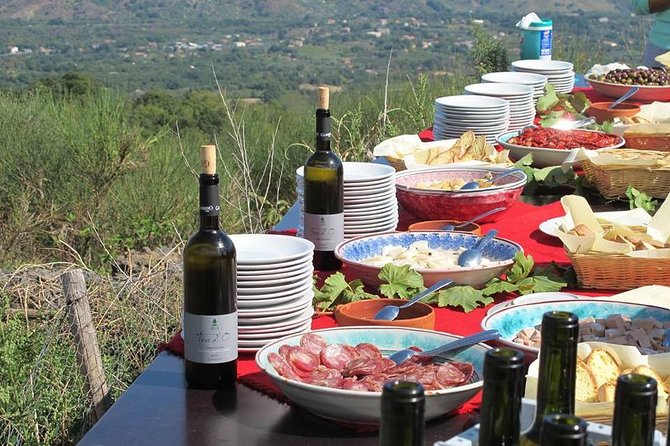 Private 6-Hour Tour of Three Etna Wineries with food&wine tasting - Timing, comfort, and practical details