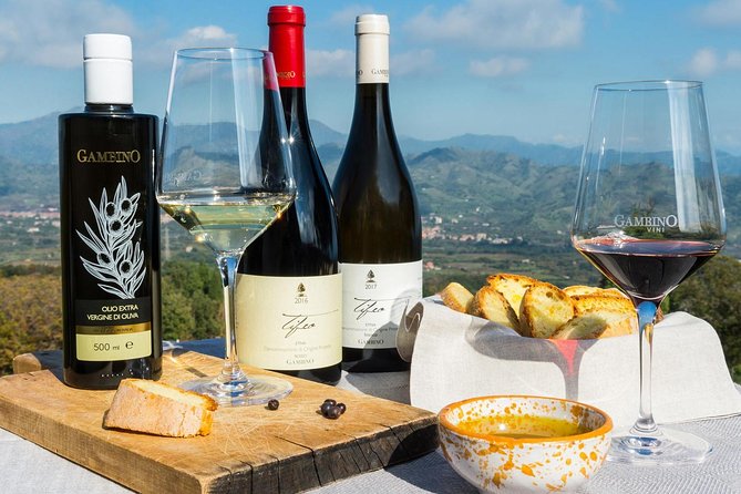 Private 6-Hour Tour of Three Etna Wineries with food&wine tasting - First stop: Etna DOC wines with a volcano view