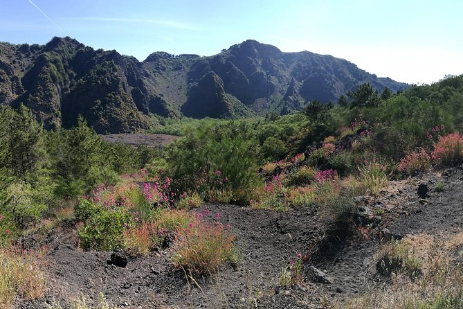 Private Day Tour to Vesuvius, Herculaneum & Pompeii with Pick Up - Price, Tickets, and What the Day Really Costs