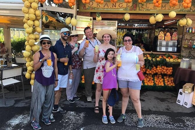 Private Pompeii, Positano & Amalfi coast Tour from Rome - The vehicle and private group experience