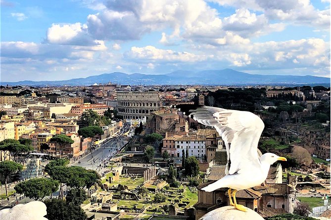 Private Rome WOW Tour in 1 Day: Luxury Car, Guide, Tkts & Lunch! - What the full-day WOW Tour includes