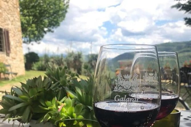 Private Self-Guided E-Bike Ride in Tuscany with Vineyard Visit - The Poggiopiano vineyard is the day’s big reward