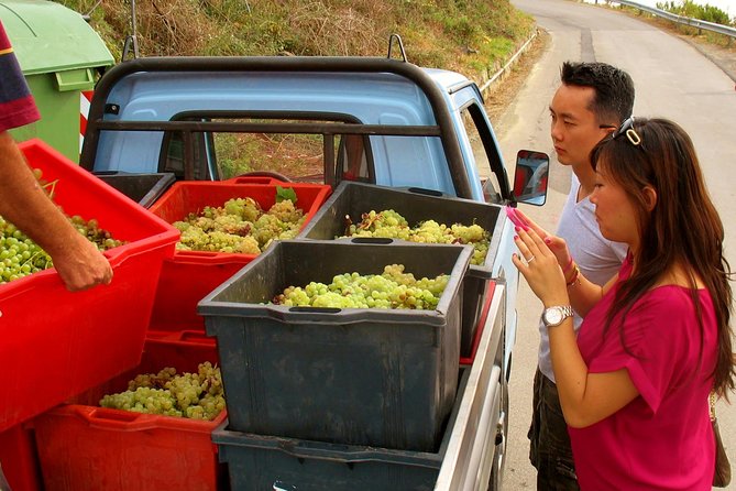 Private Tour to Cinque Terre from Florence - What the $952.25 price really buys