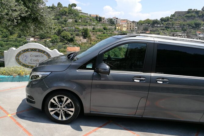 Private Transfer from Sorrento to Naples - Arriving at Naples train station, port, hotel, or airport