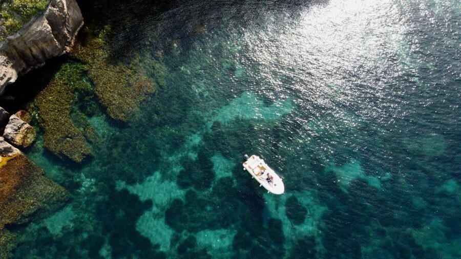 Procida: Boat Tour with Swimming Stops and Underwater Photos - Key points to know before booking