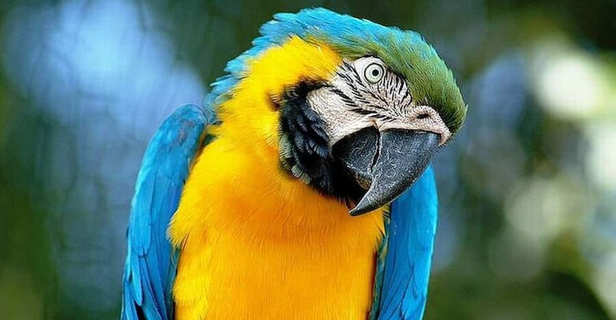 Rome: Bioparco di Roma Zoological Garden Entry Ticket - How Long Should You Stay?
