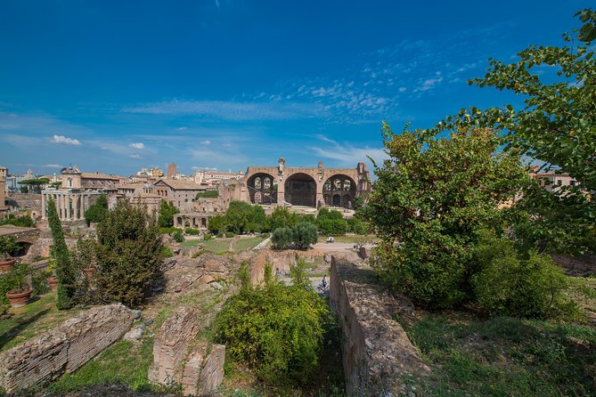 Rome: Colosseum Arena, Roman Forum & Palatine Hill Tour - Guides, Headsets, and the Importance of Clear English