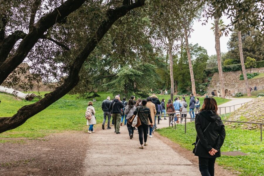 Rome: Colosseum, Palatine Hill & Roman Forum Guided Tour - Key points to know before you book
