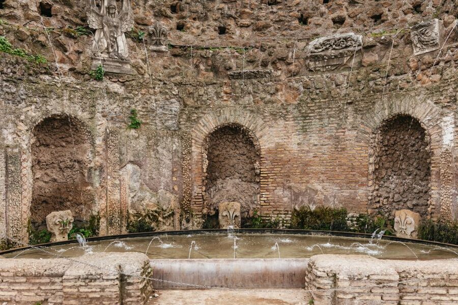Rome: Colosseum, Palatine Hill & Roman Forum Guided Tour - Timing, meeting points, and arrival rules