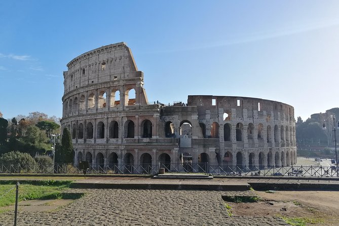 Rome: Colosseum, Roman Forum and Palatine Hill Private Tour - Price, options, and who gets the best value