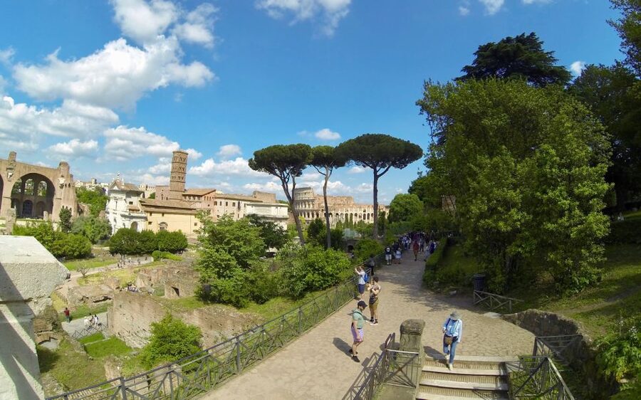 Rome: Colosseum, Roman Forum, and Palatine Hill Tour - Who will enjoy this ancient Rome tour most?