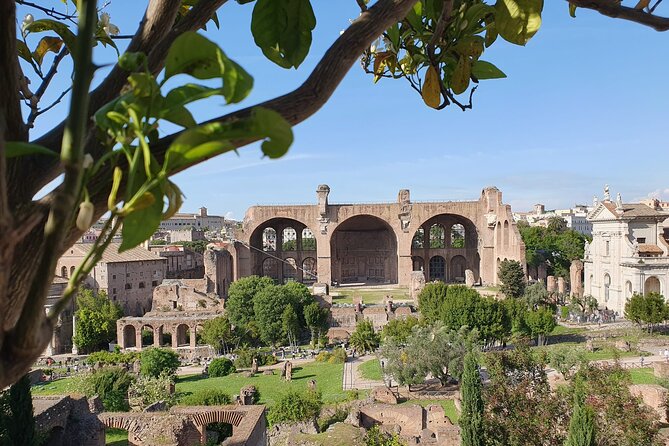 Rome: Colosseum, Roman Forum & Palatine Hill Experience - Who will enjoy this format most