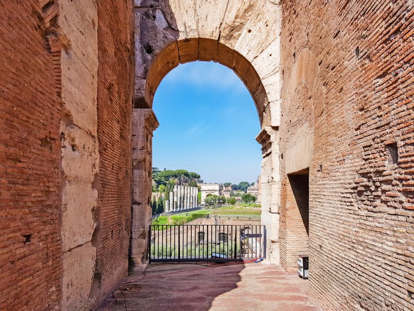 Rome: Colosseum, Roman Forum & Palatine Hill Tour - The Roman Forum: politics, temples, and daily life