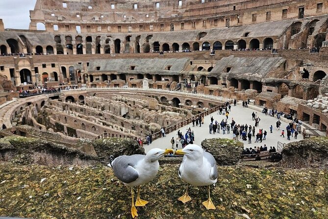 Rome: Colosseum, Roman Forum & Palatine Hill Visit + Audio Guide - Seeing Rome from Palatine Hill