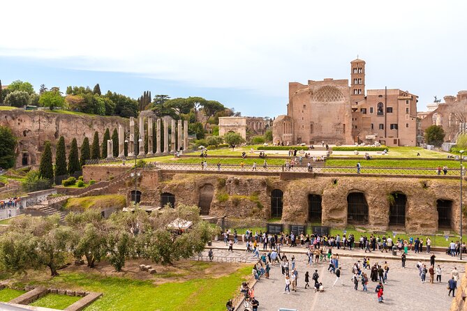 Rome: Colosseum with Roman Forum & Palatine Hill Guided Tour - Practical details that can prevent trouble