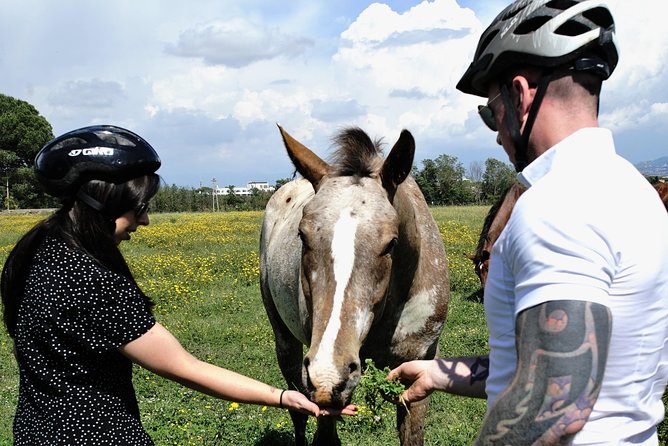 Rome EBike Tour: Appian Way, Catacombs & Roman Aqueducts - The six-hour route reaches Villa dei Quintili