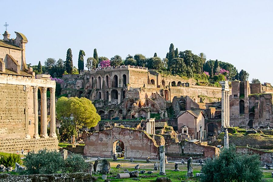 Rome: Guided Tour of Colosseum, Roman Forum & Palatine Hill - Why a guided tour helps at ancient Rome