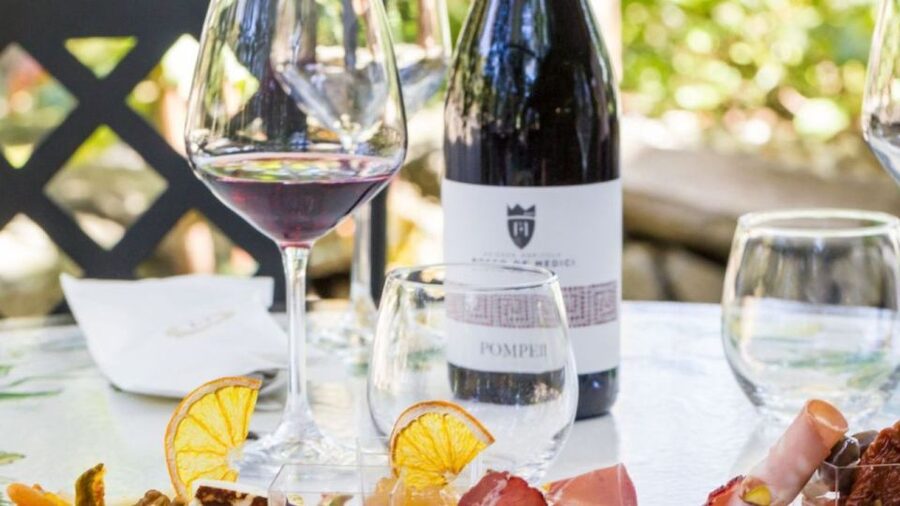 Rome: Pompeii Tour with Wine and Lunch by High Speed Train - The Naples connection and private shuttle