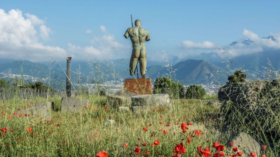 Rome: Pompeii Tour with Wine and Lunch by High Speed Train - A vineyard lunch near Pompeii