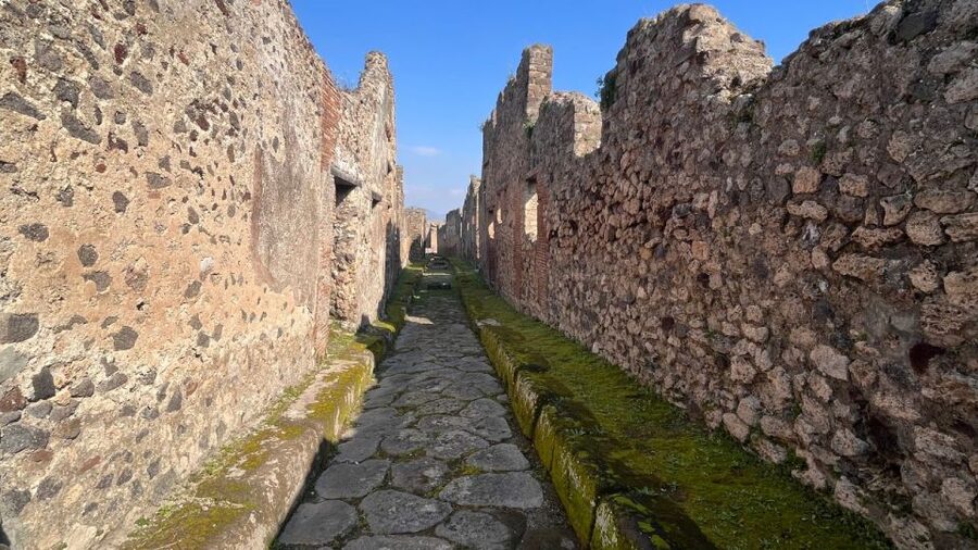 Rome: Pompeii Tour with Wine and Lunch by High Speed Train - Who should book this Pompeii day trip?