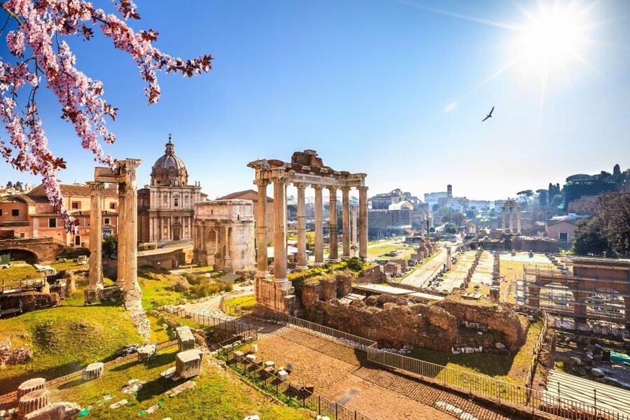 Rome: Roman Forum and Palatine Hill Licensed Guided Tour - The guides make the biggest difference