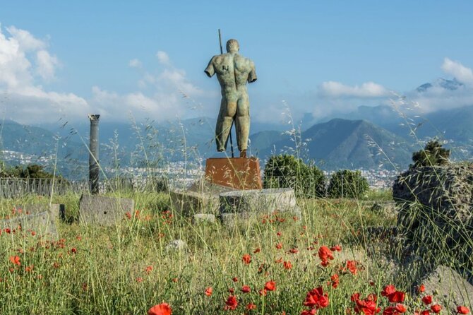 Rome to Pompeii Guided Tour with Wine & Lunch by High Speed Train - Mount Vesuvius wine and lunch