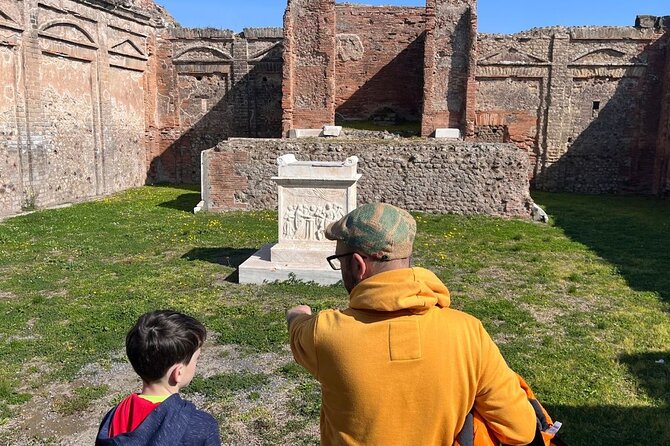 Rome to Pompeii Guided Tour with Wine & Lunch by High Speed Train - Who should book this experience?