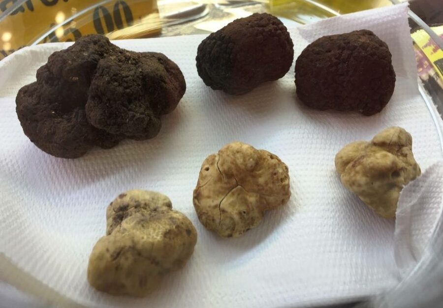 Rome: Trastevere Guided Food and Wine Tour with 20+ Tastings - Key points at a glance
