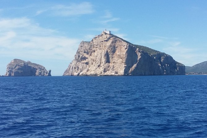 Sailing day trip on Tall Ship Andrea Jensen with Lunch and Wine - The sheltered bay is the day’s relaxed center