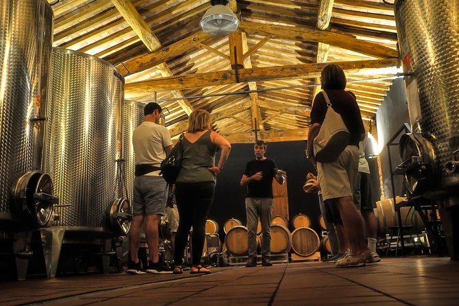 Siena: A Wine Tour and Tasting Experience - The 50-minute vineyard lesson