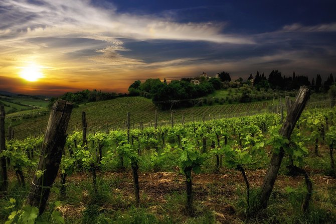 Siena: A Wine Tour and Tasting Experience - Four wines and a lesson in tasting