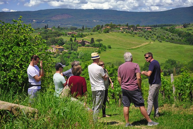 Siena: A Wine Tour and Tasting Experience - The seasonal Tuscan lunch is more than a snack