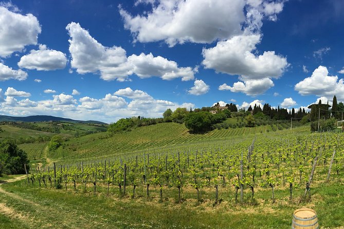 Siena: A Wine Tour and Tasting Experience - Timing, transport, and the meeting point