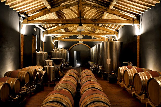 Siena: A Wine Tour and Tasting Experience - The 40-minute cellar tour, from grape to bottle