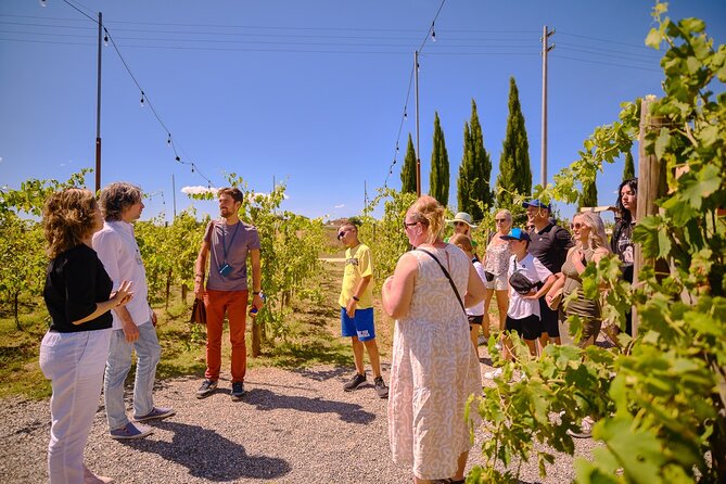 Siena, San Gimignano and Chianti Wines Day Tour from Florence - Monteriggioni: a small fortress with a short visit