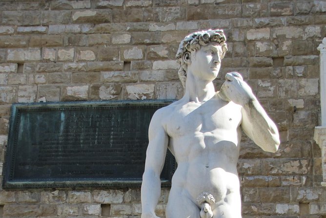 Skip the Line: Florence's Accademia Gallery Priority Entrance Ticket - Getting past the long queue