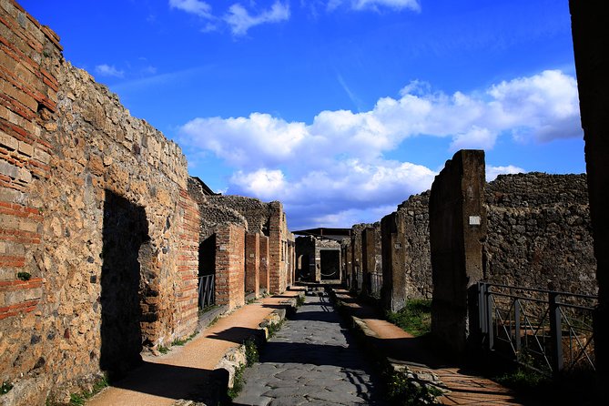 Skip the Line Guided Tour of Pompeii led by an Archaeologist - The Forum and the Shape of Roman Life