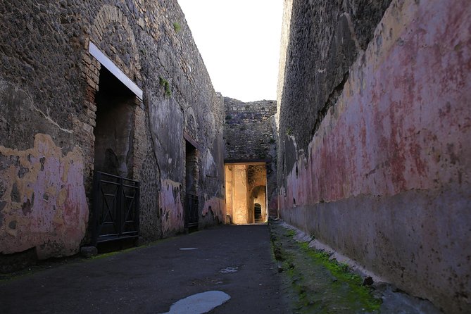 Skip the Line Guided Tour of Pompeii led by an Archaeologist - The Guide Makes the Difference